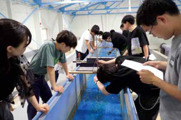 測量学実習
