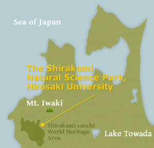 The Shirakami Natural Science Park, Hirosaki University