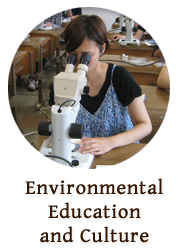 Environmental Education and Culture