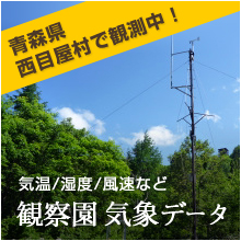 弘前大学白神自然環境研究所の気象状況
