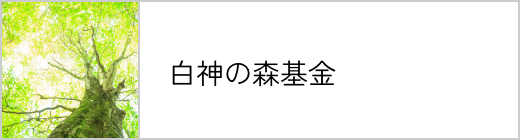 白神の森基金