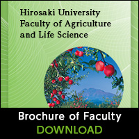 Brochure of Faculty 2018 DOWNLOAD