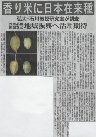 26.7.15陸奥新報「香り米に日本在来種」　石川先生