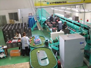 photo:Apple sorting facilities at a Japanese agricultural cooperative